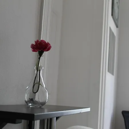 Hostal Party Zone *
